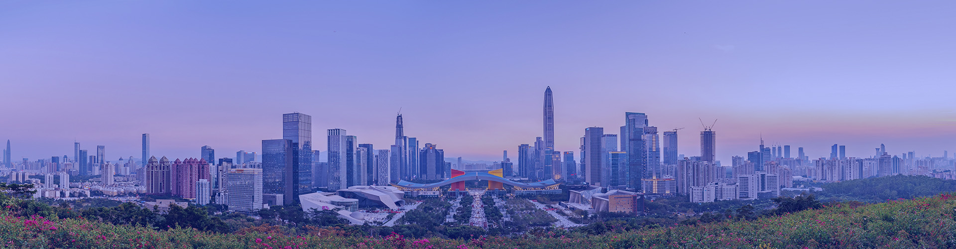 关于我们banner